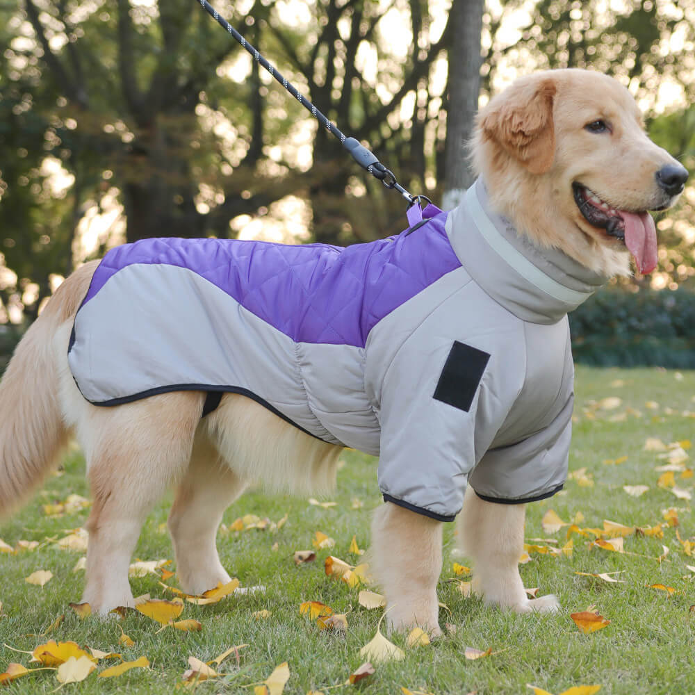 Chaqueta de algodón cálida y reflectante para perros grandes en invierno: adecuada para aventuras al aire libre