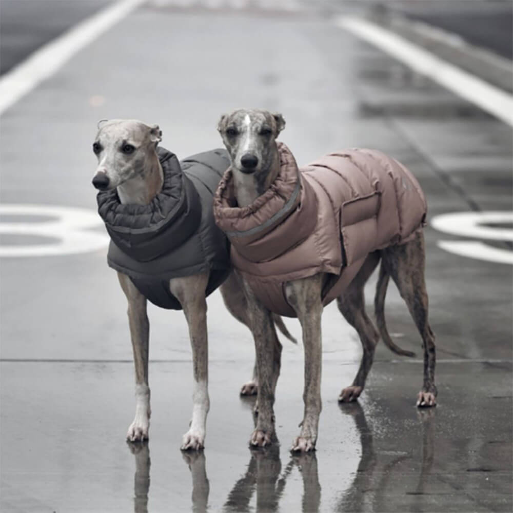 Chaleco cálido impermeable y resistente al viento: lo último en calidez y estilo para el invierno