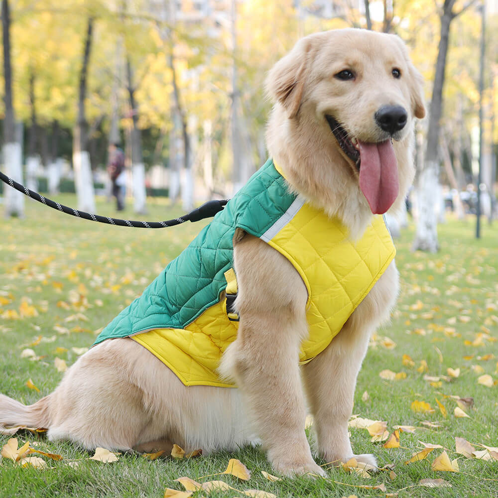 Chaqueta acolchada ajustable para perros: cálida y segura para paseos invernales