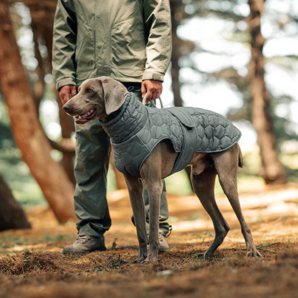 Chaleco acolchado para perros para exteriores: cálido y duradero para caminatas y aventuras