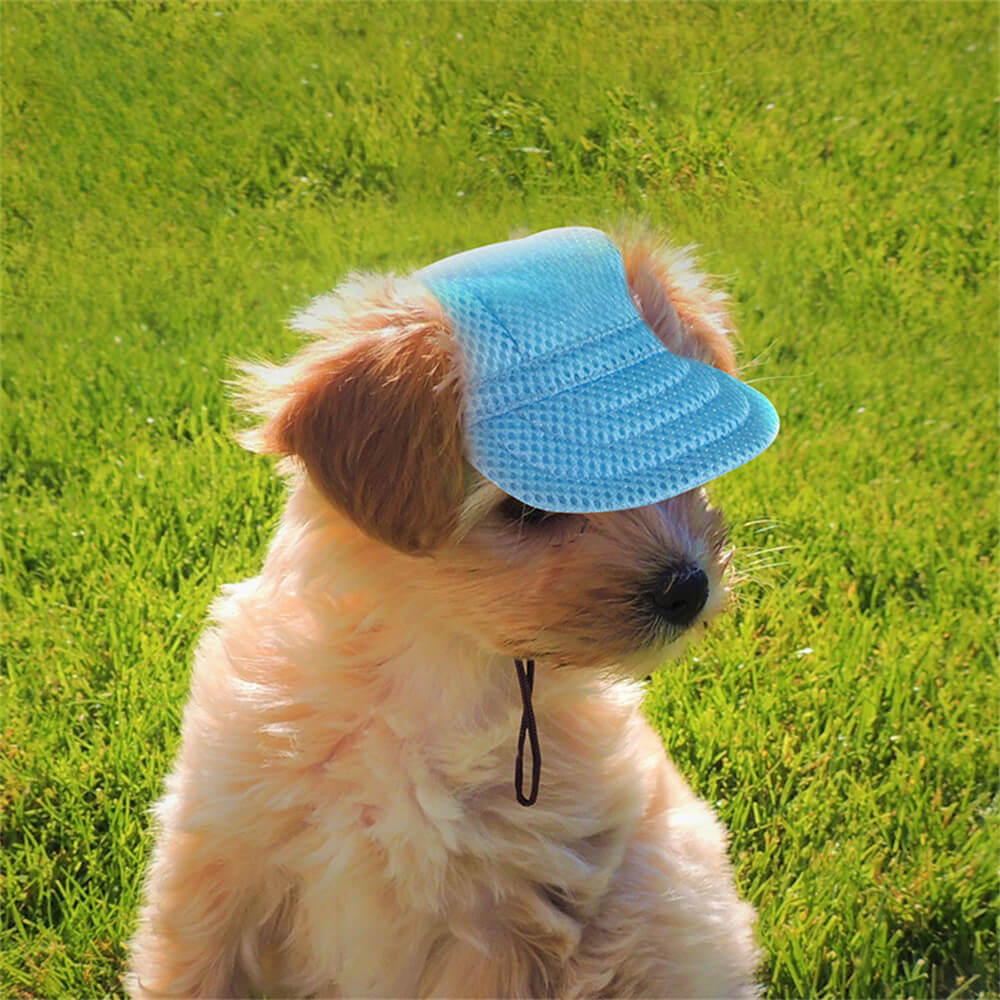 Gorra de béisbol con protección solar para mascotas de malla