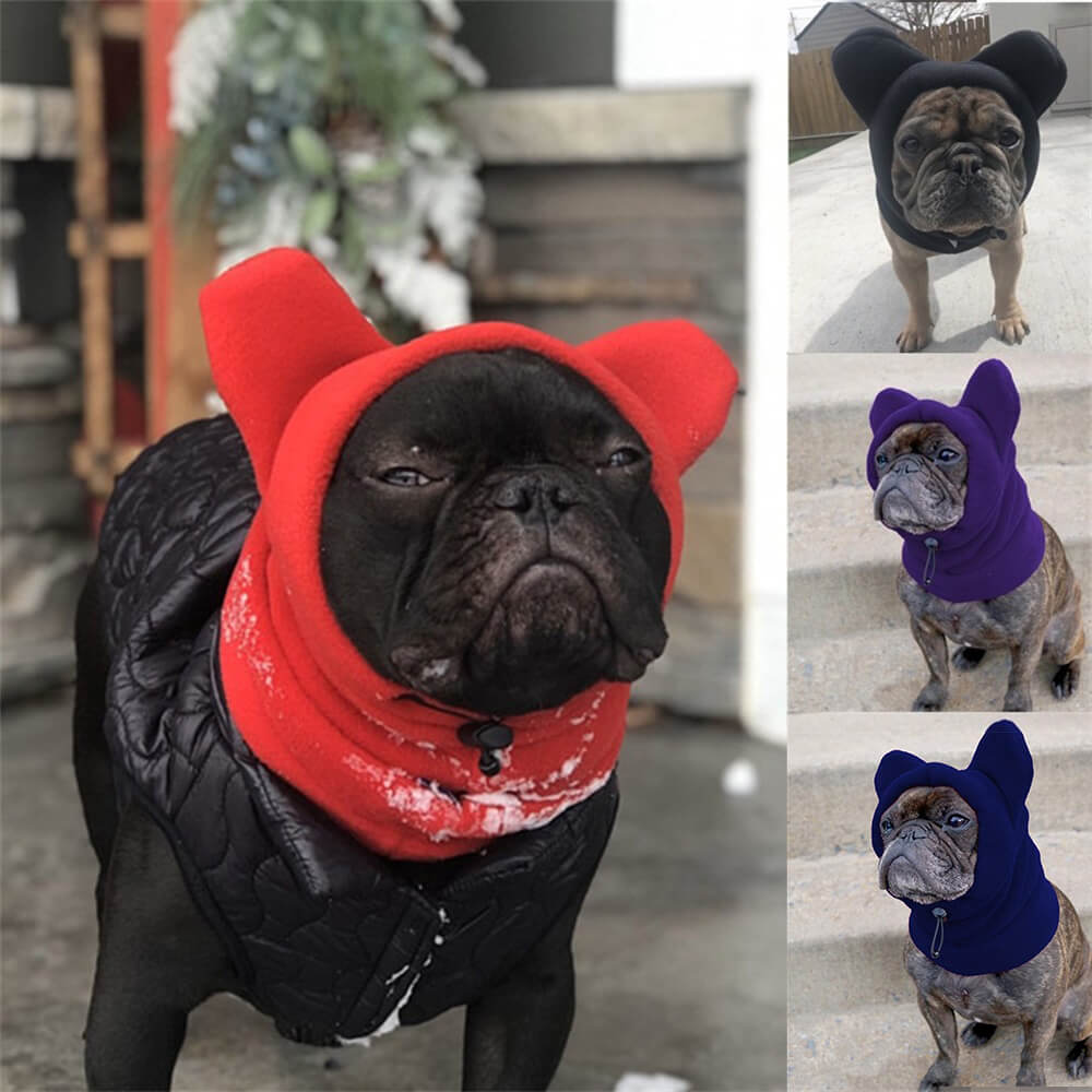 Capucha polar para perros con orejas de oso: un gorro de invierno divertido y acogedor