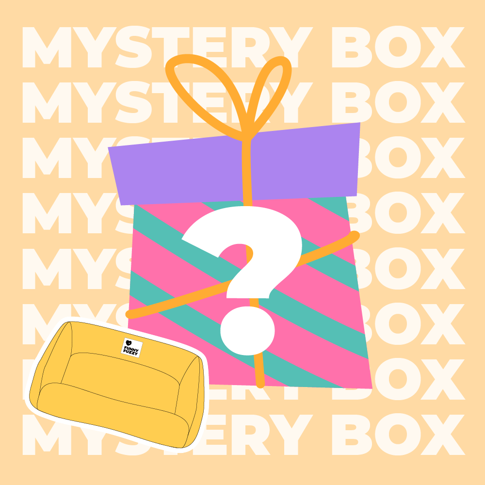 Sicheres Reiseset für Hunde bis 15 kg – 220 $ Wert-Mystery-Box
