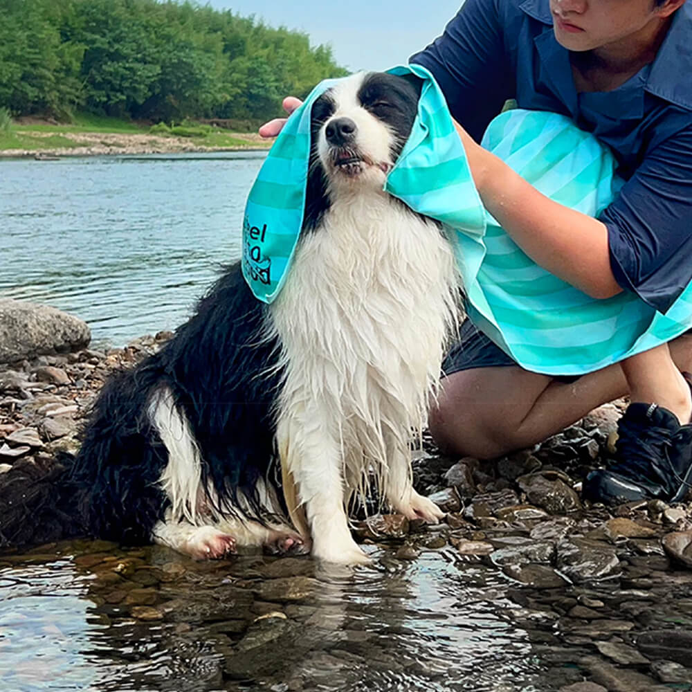 Manta de toalla para perros de viaje, ultraabsorbente, ligera y de secado rápido