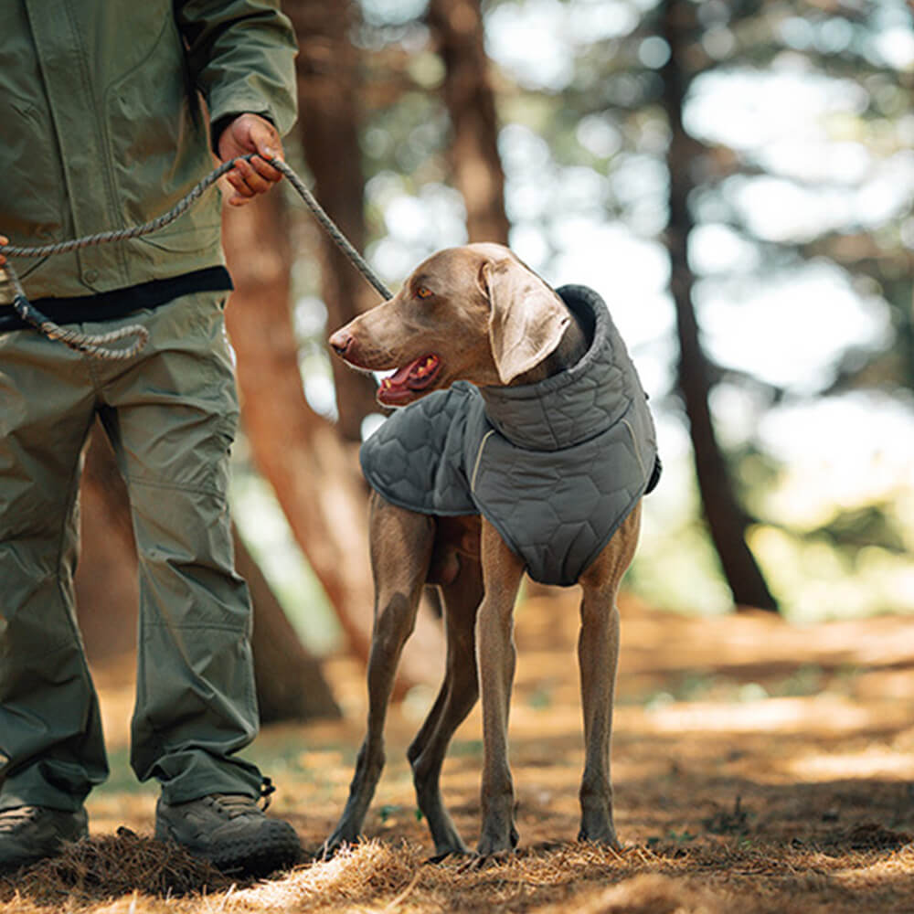 Chaleco acolchado para perros para exteriores: cálido y duradero para caminatas y aventuras