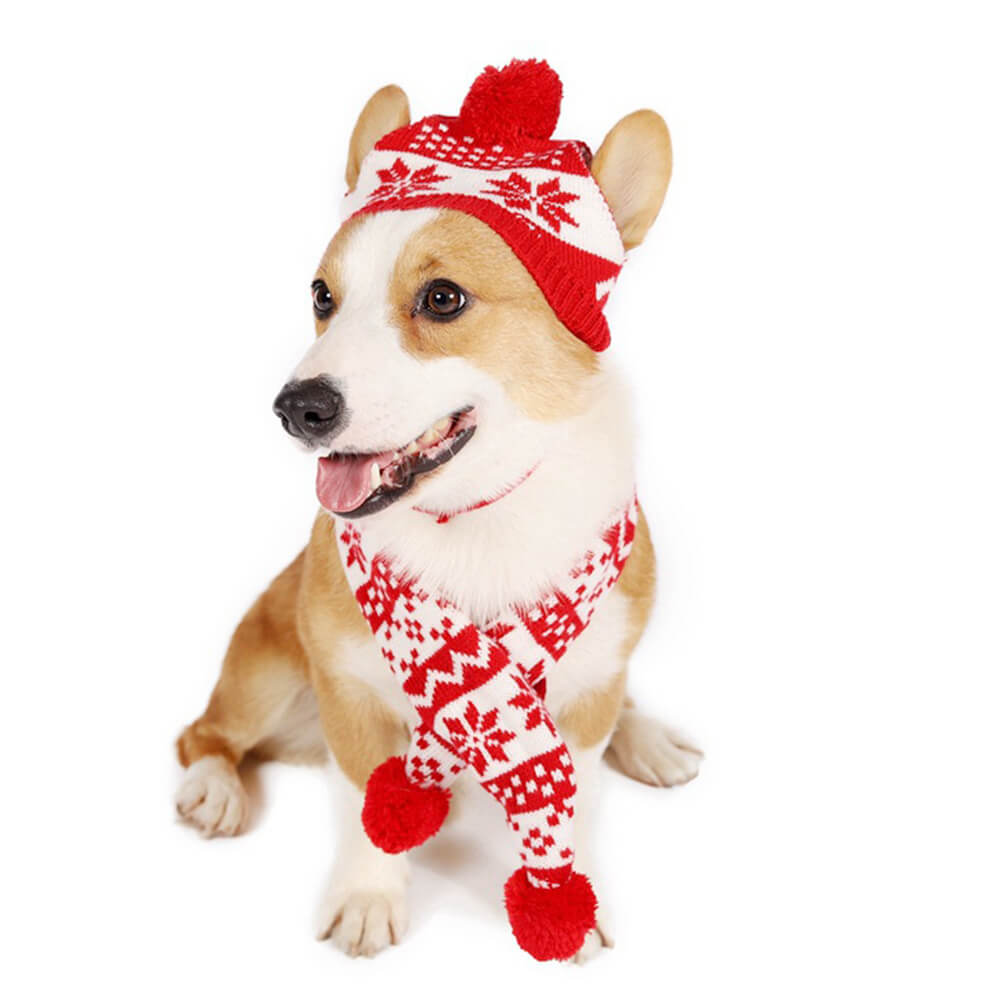 Conjunto de gorro y bufanda para perro cálido con copos de nieve navideños de punto