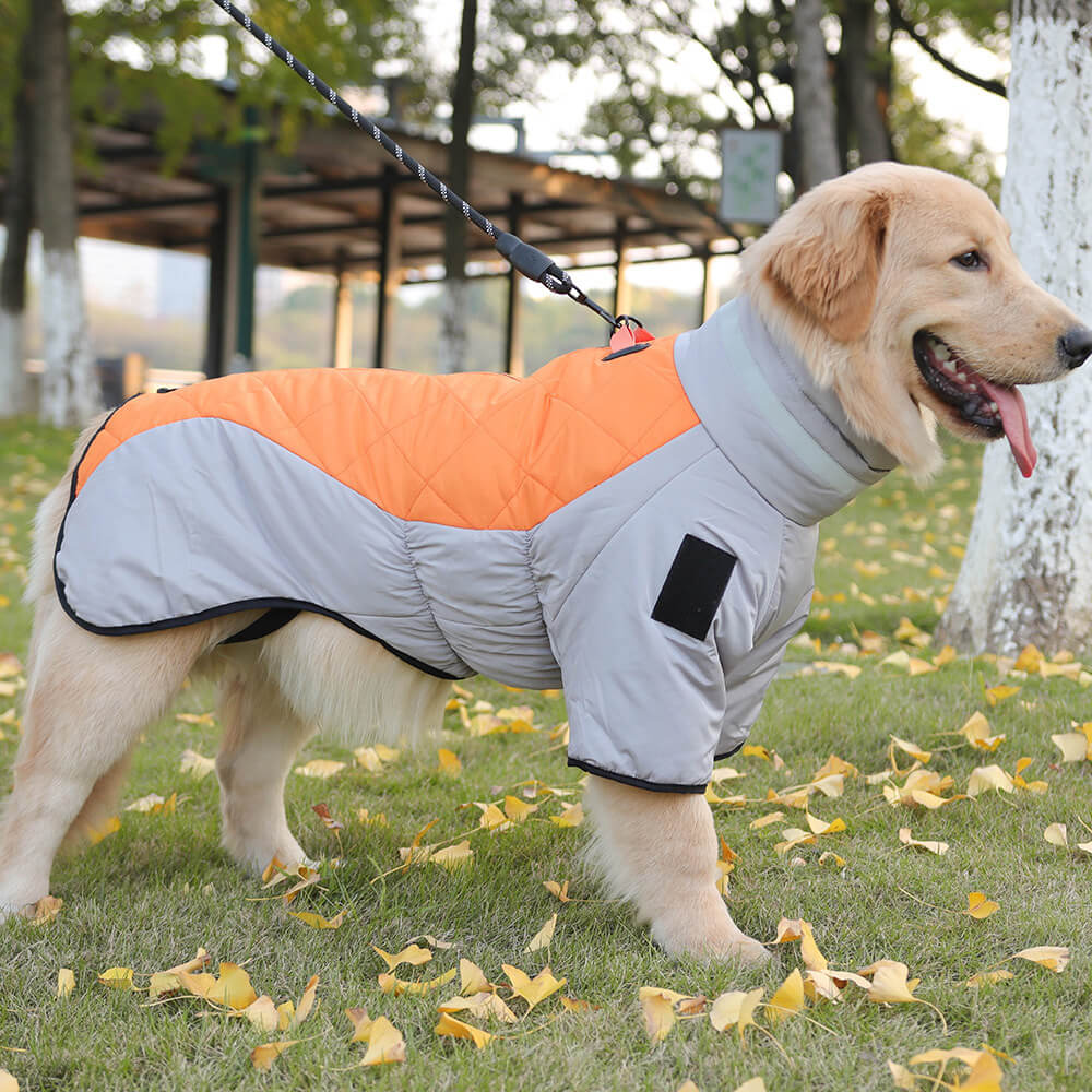 Chaqueta de algodón cálida y reflectante para perros grandes en invierno: adecuada para aventuras al aire libre