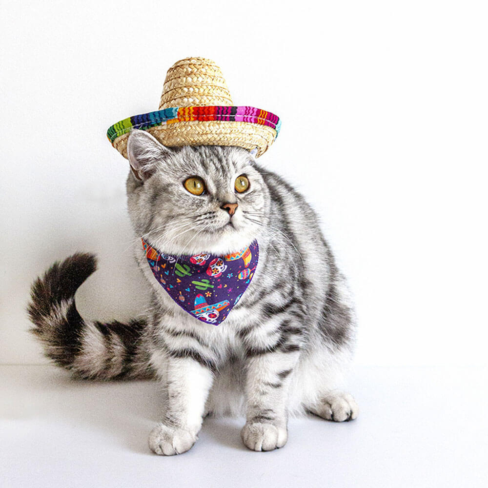 Sombrero de paja popular para el sol con forma de mini gato