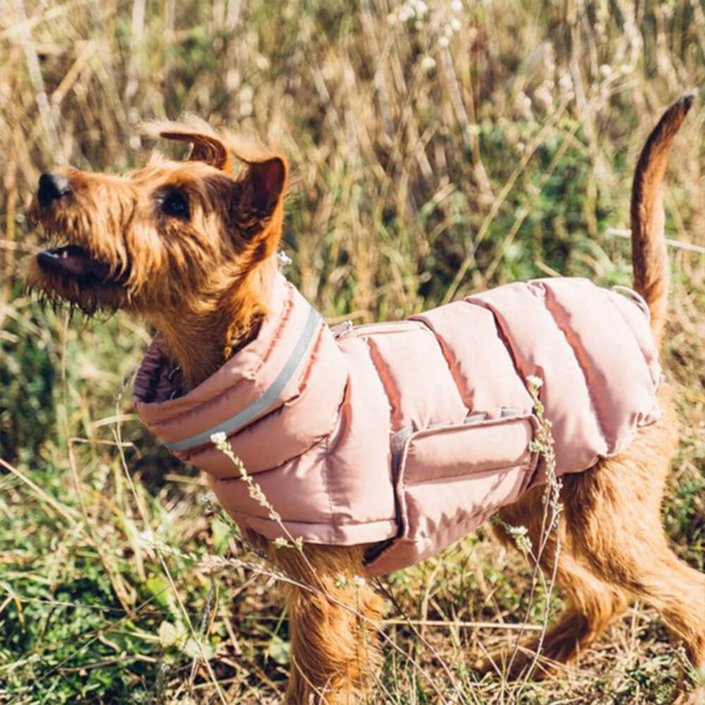 Chaleco cálido impermeable y resistente al viento: lo último en calidez y estilo para el invierno