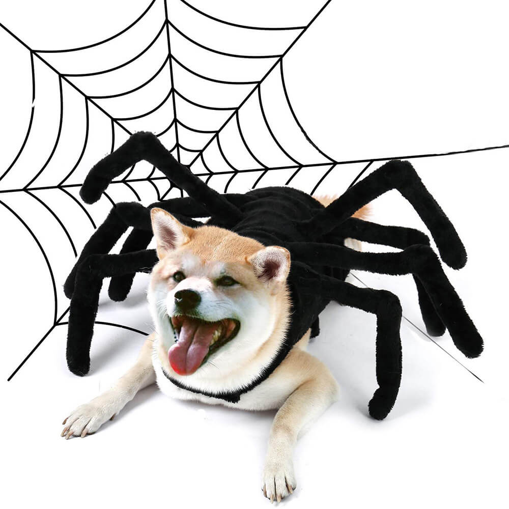 Divertido de Araña para Mascotas de Halloween - Disfraz para Perros y Gatos