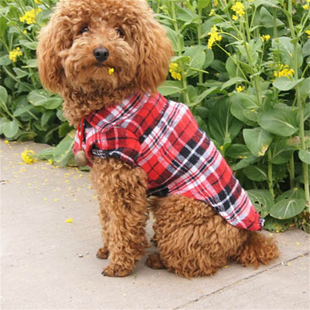 Camisa clásica a cuadros para perros: cómoda y elegante para cualquier ocasión