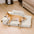Cana de cana Anti -Scratch Exprovable Cama de perros ortopédica con almohada - COMFYSOFA