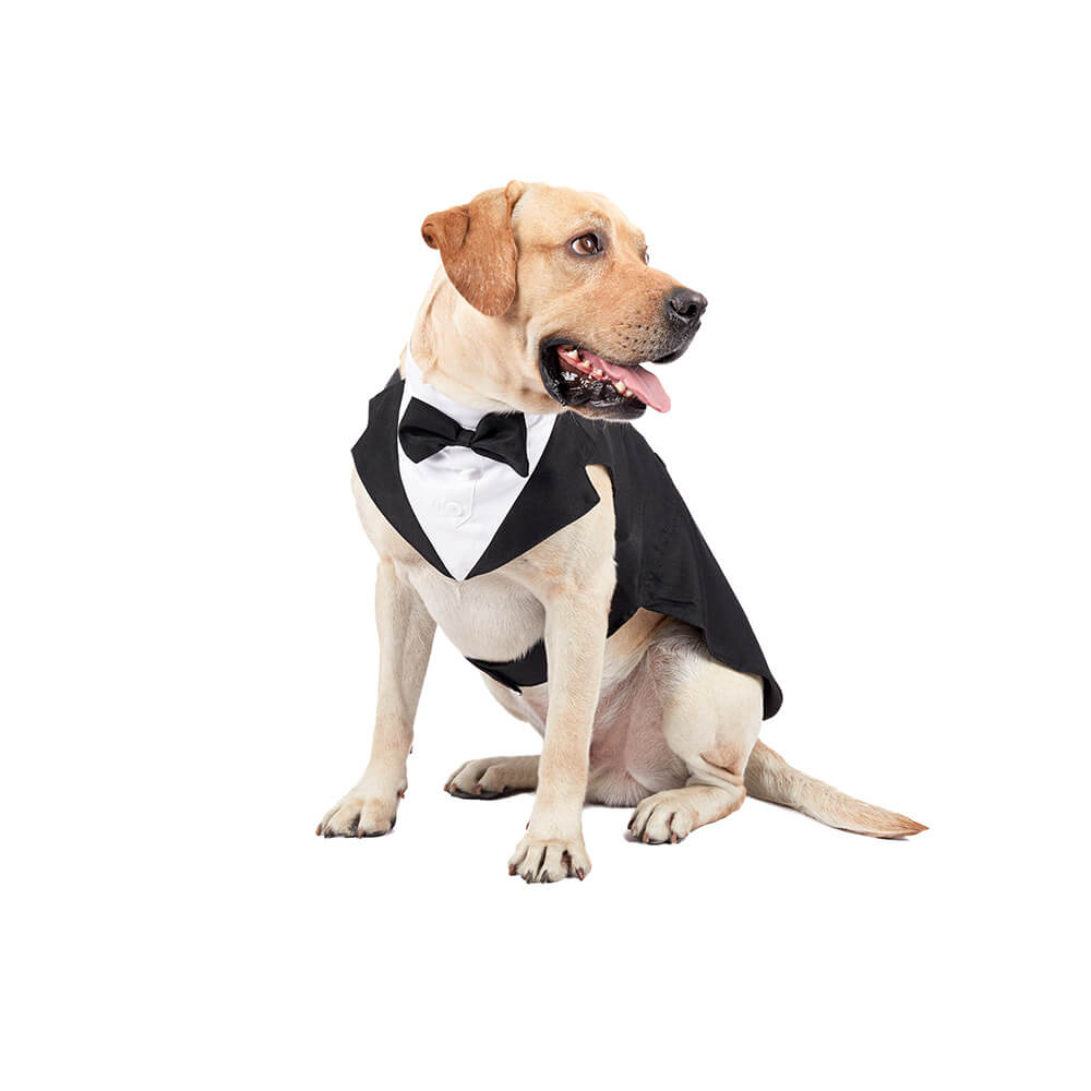 Ropa para perros y mascotas, vestido de traje con pajarita de boda