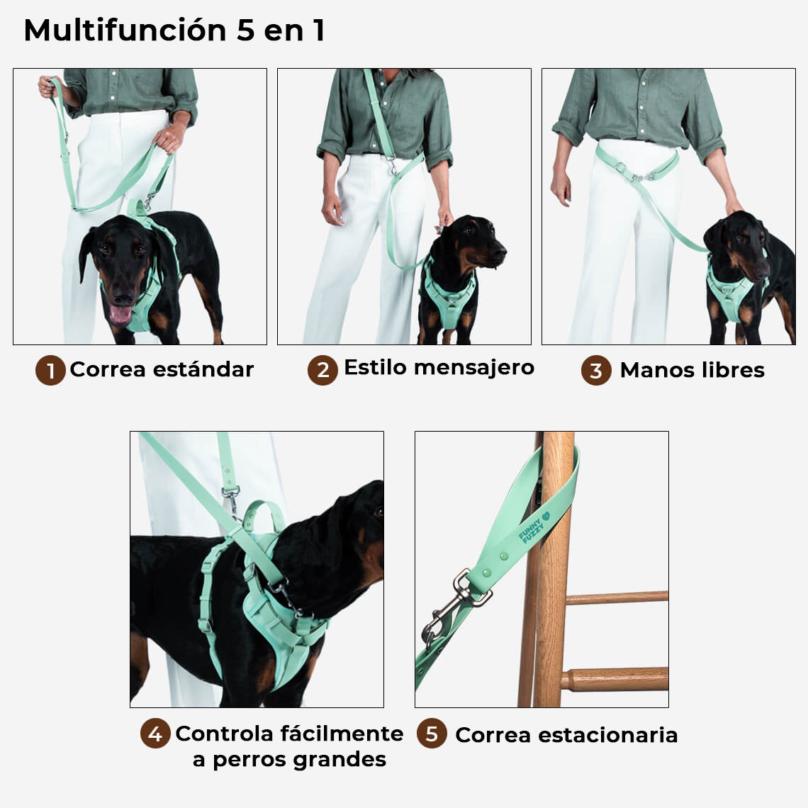 Correa para perros gomosos