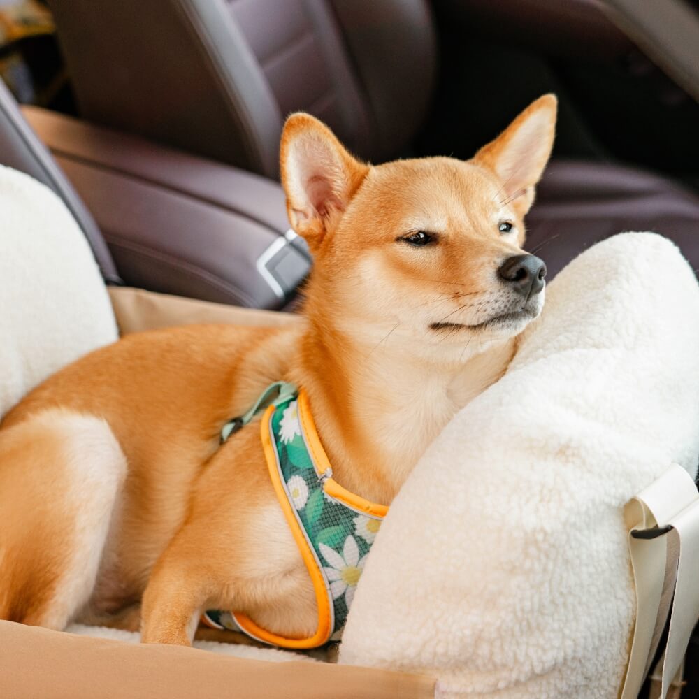 Cama grande del asiento de coche del perro del protector del cachorro de la seguridad del viaje