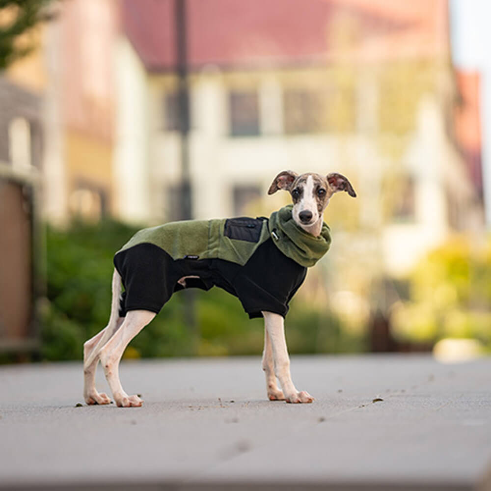 Mono polar de cobertura total para perros con cuello extraíble