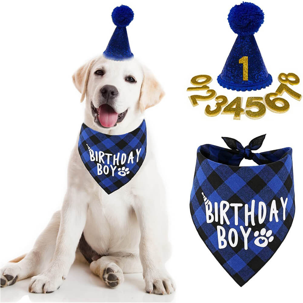 Accesorios para perros y gatos, suministros para fiestas, sombrero de cumpleaños, conjunto de Baberos