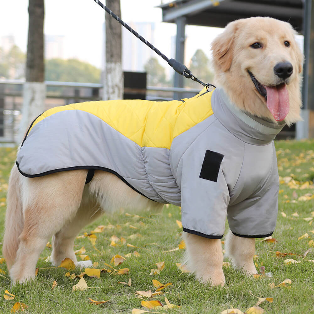 Chaqueta de algodón cálida y reflectante para perros grandes en invierno: adecuada para aventuras al aire libre