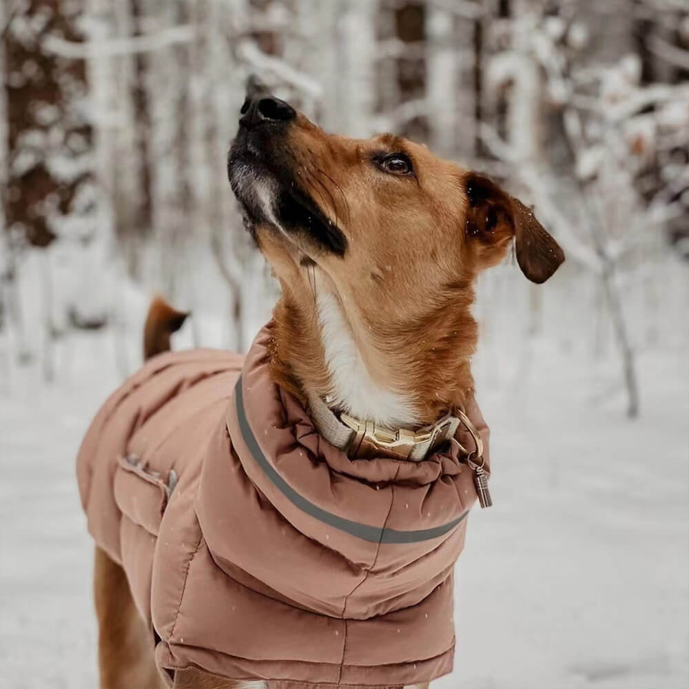 Chaleco cálido impermeable y resistente al viento: lo último en calidez y estilo para el invierno