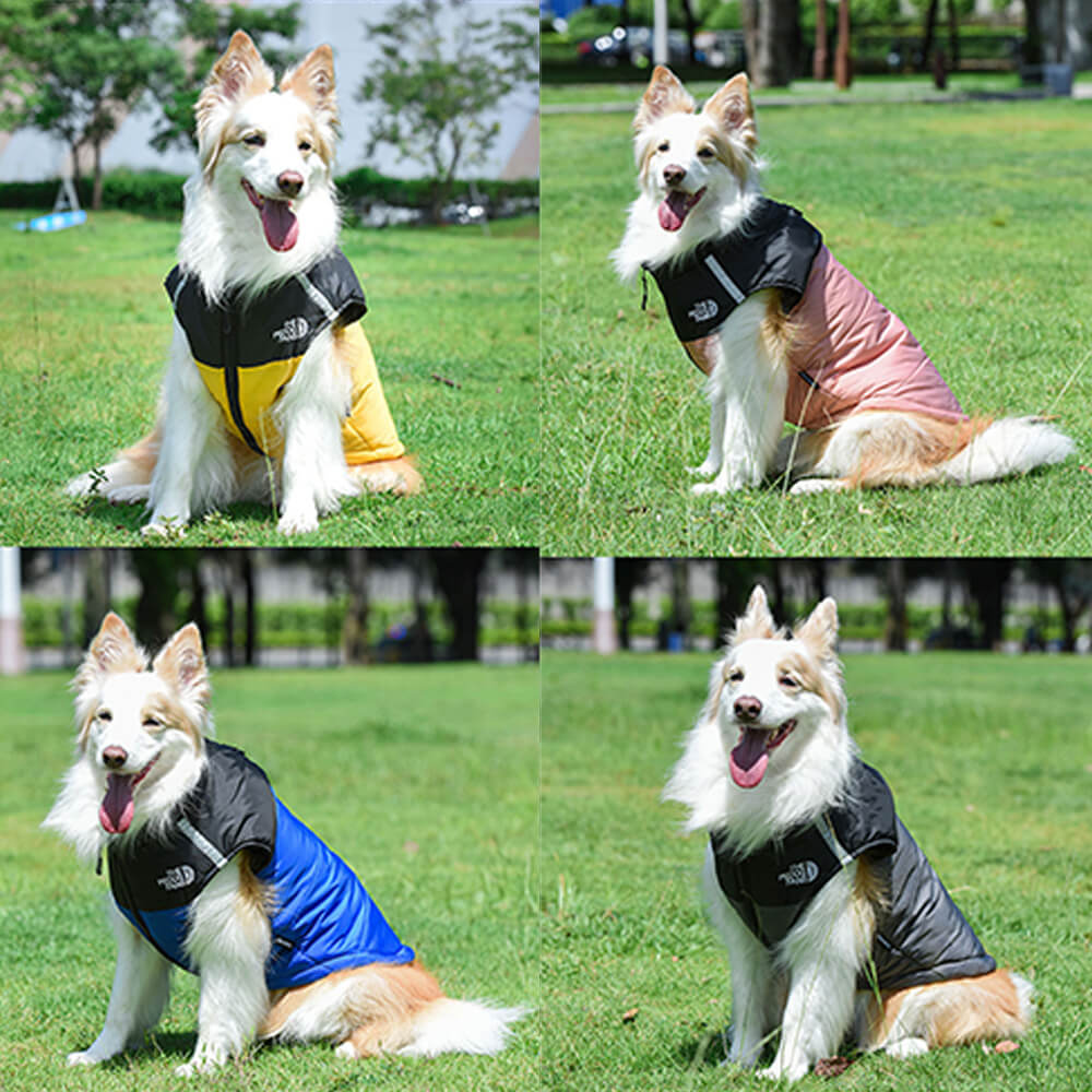 Chaleco impermeable y resistente al viento para perros: chaqueta de aventura al aire libre en 4 colores