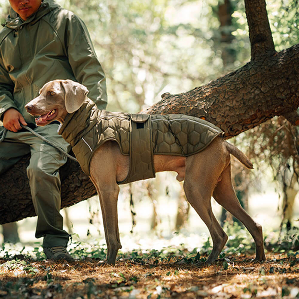 Chaleco acolchado para perros para exteriores: cálido y duradero para caminatas y aventuras