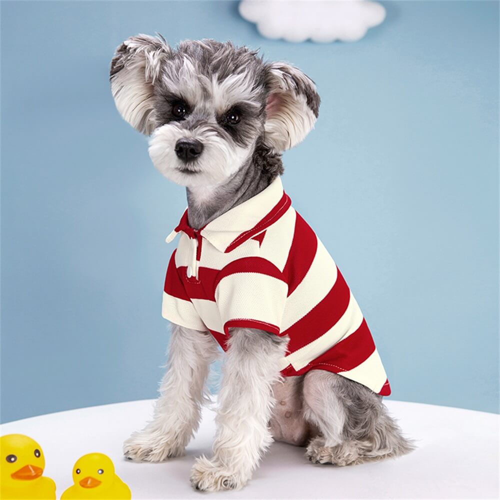 Camisa tipo polo a rayas para perros: estilo clásico para tu cachorro