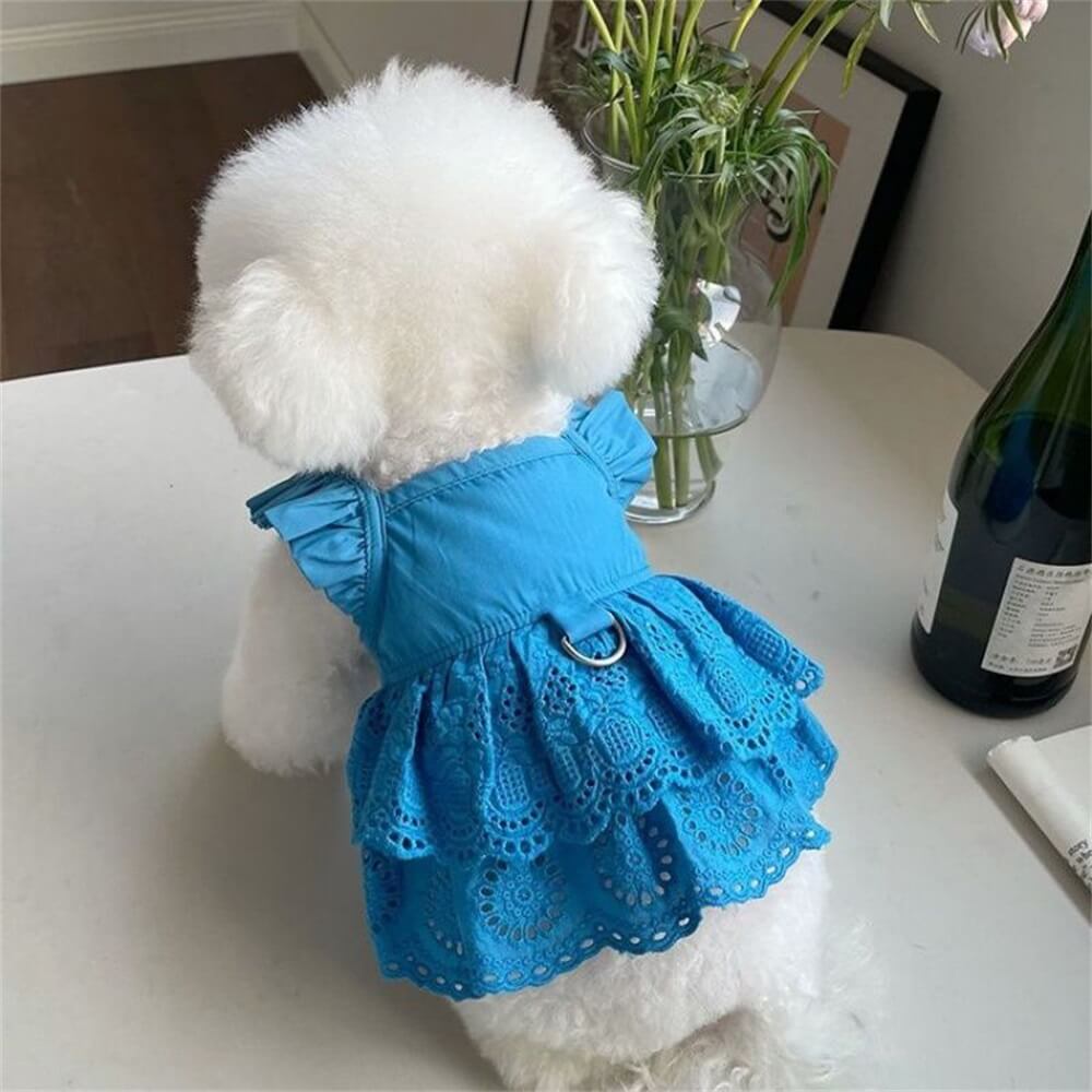 Elegante vestido de encaje azul y rosa para perros: perfecto para ocasiones especiales