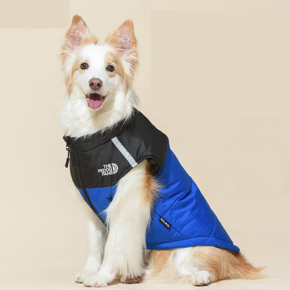 Chaleco impermeable y resistente al viento para perros: chaqueta de aventura al aire libre en 4 colores