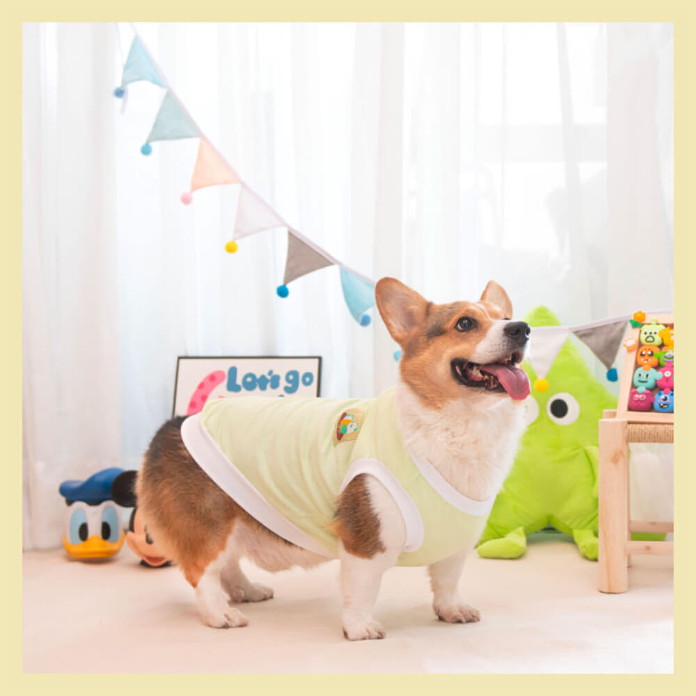 Camiseta ligera para perros, chaleco antidesprendimiento y ropa para mascotas a prueba de frío