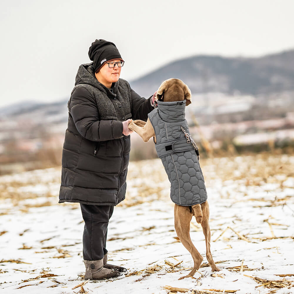 Chaleco acolchado para perros para exteriores: cálido y duradero para caminatas y aventuras