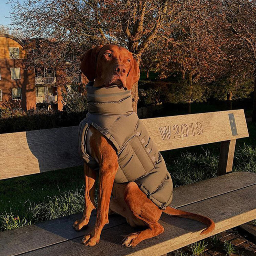 Chaleco cálido impermeable y resistente al viento: lo último en calidez y estilo para el invierno