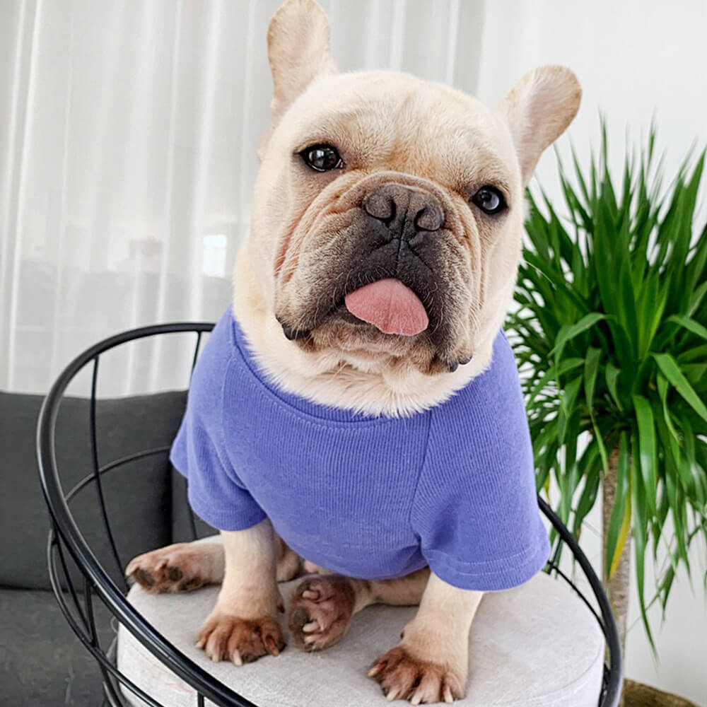 Sudadera elegante de manga larga bordada para mascotas y su dueño, ropa a juego