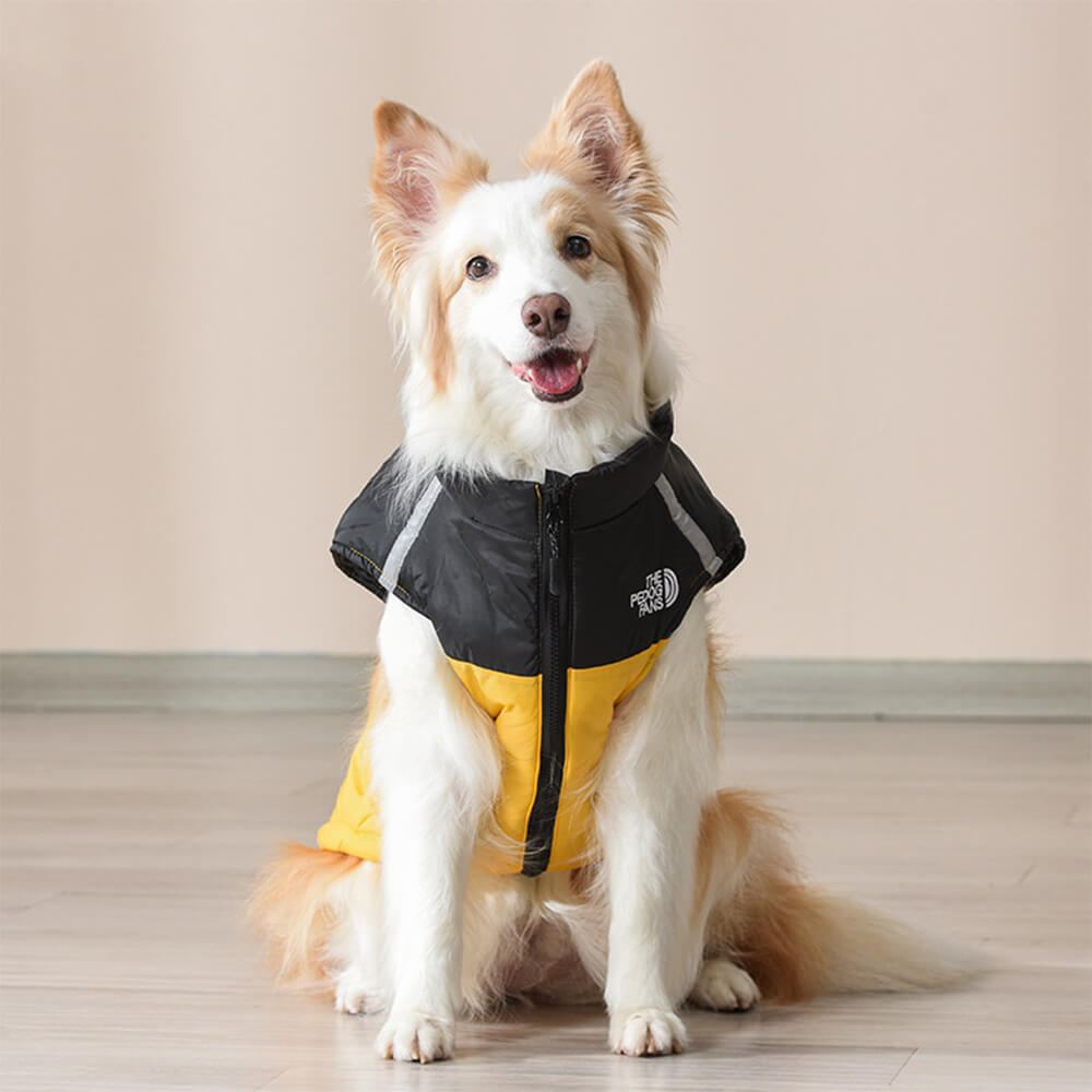 Chaleco impermeable y resistente al viento para perros: chaqueta de aventura al aire libre en 4 colores