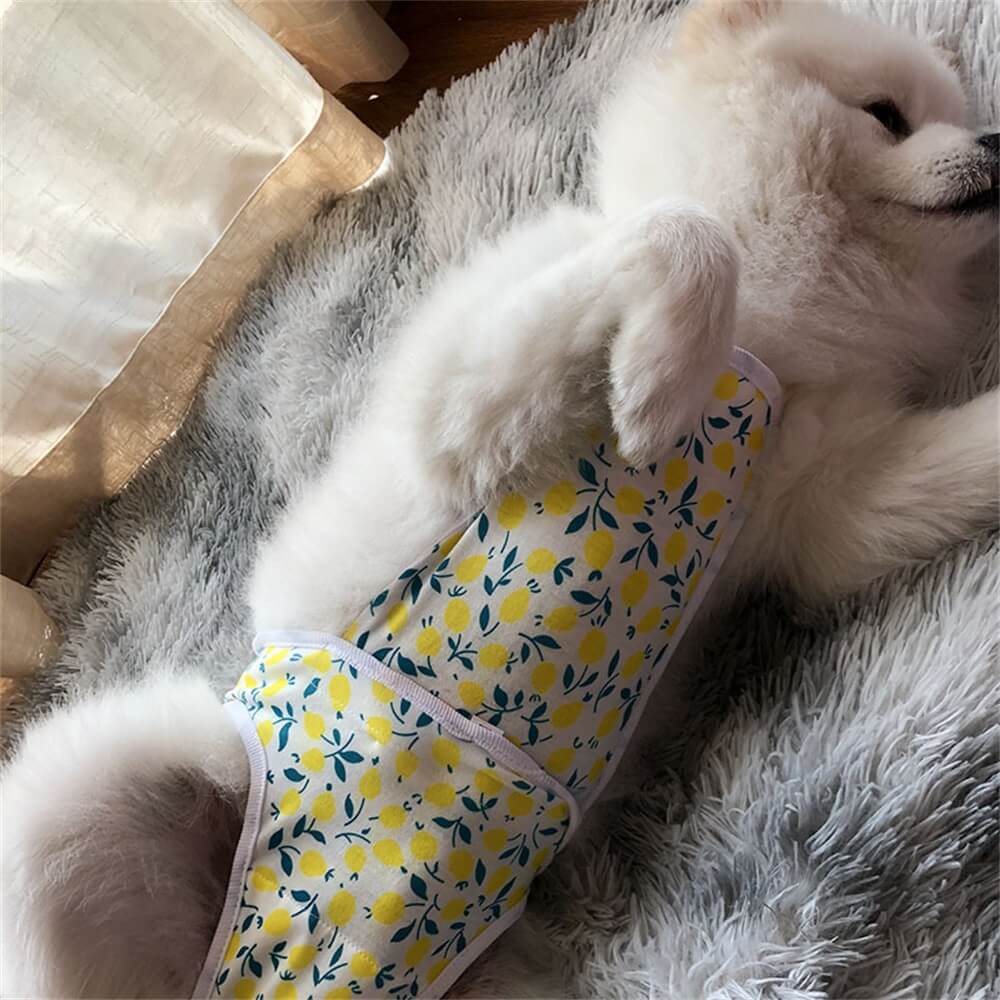 Pantalones menstruales para mascotas, pañales lavables para perros, bandas protectoras para el vientre para ropa para mascotas