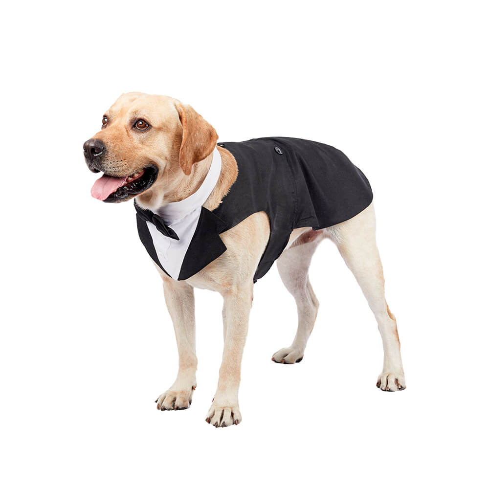 Ropa para perros y mascotas, vestido de traje con pajarita de boda