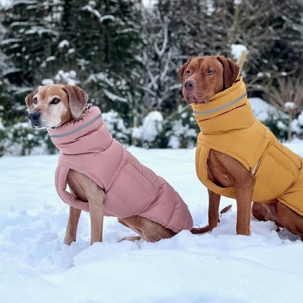 Chaleco cálido impermeable y resistente al viento: lo último en calidez y estilo para el invierno