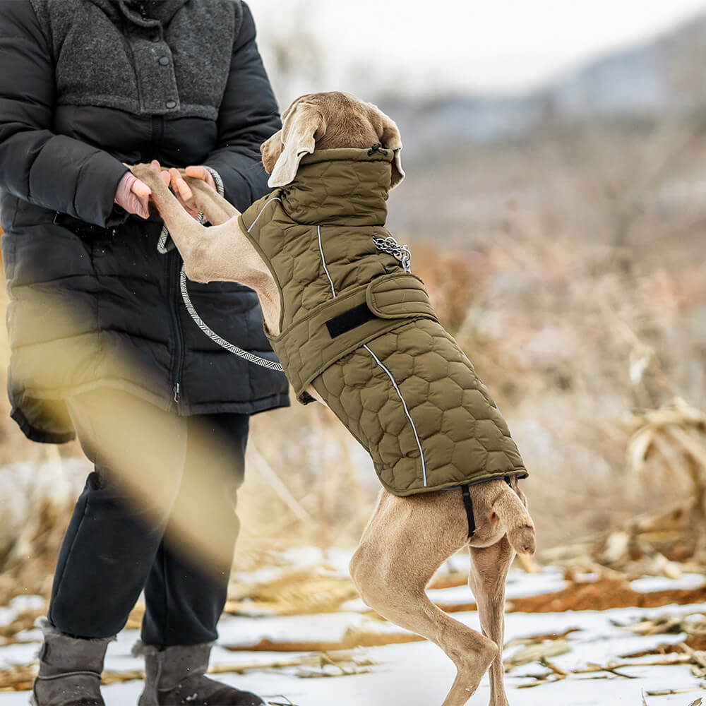 Chaleco acolchado para perros para exteriores: cálido y duradero para caminatas y aventuras