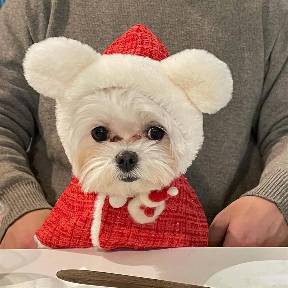 Capa con capucha para perro con forma de oso navideño: festiva y adorable para las fiestas