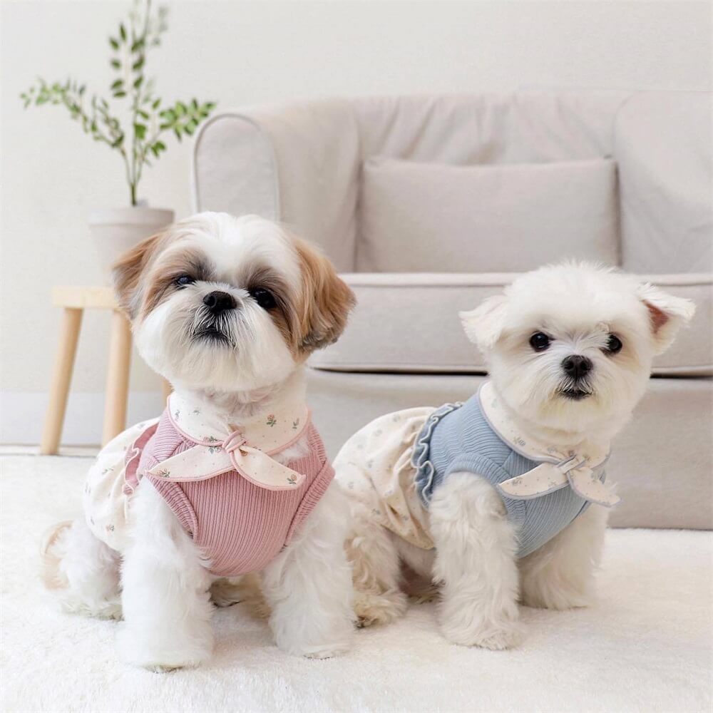 Elegante y lindo vestido floral para perro: perfecto para ocasiones especiales