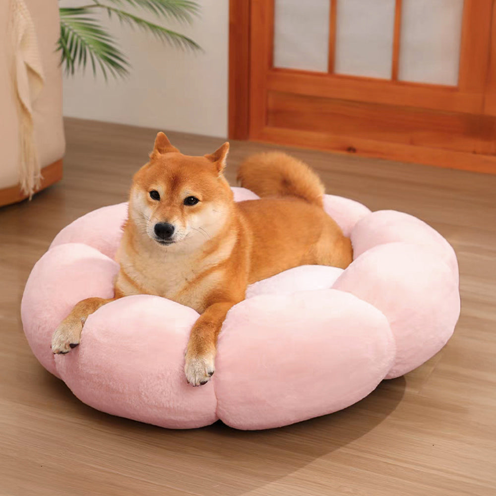 Cama para perros y gatos con forma de flor, cálida, de soporte completo, lavable y decorativa