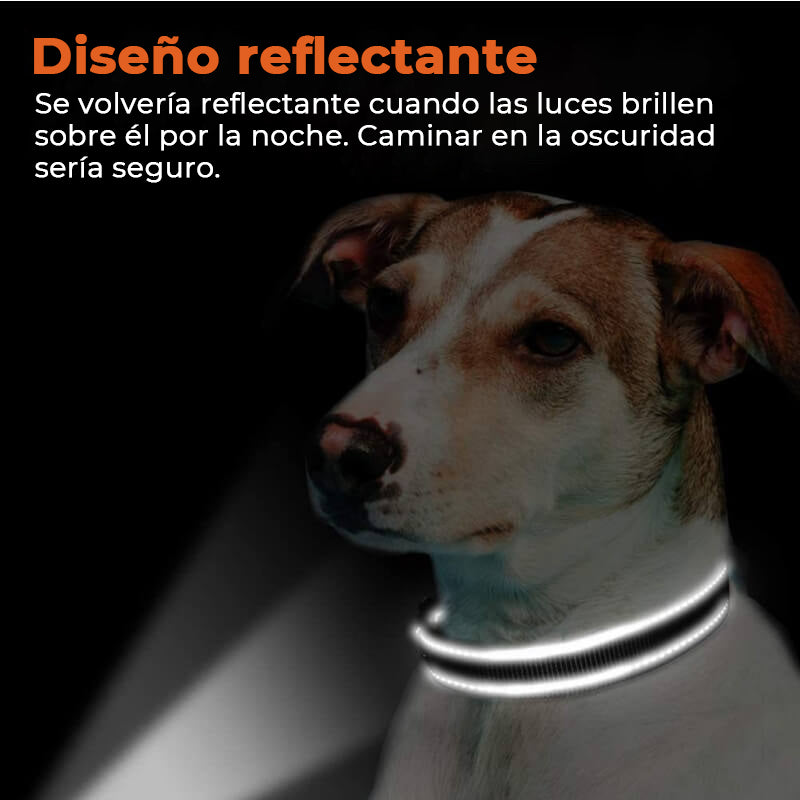 Collar Ajustable de Seguridad Reflectante de Nylon para Perros