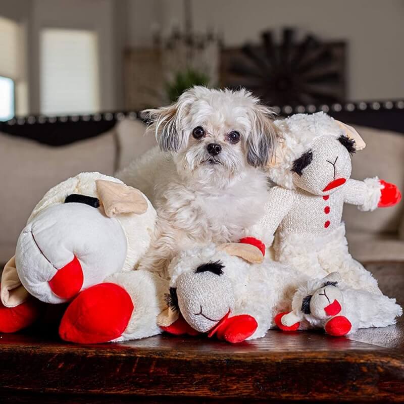 Adorable peluche de cordero, juguete interactivo para perros