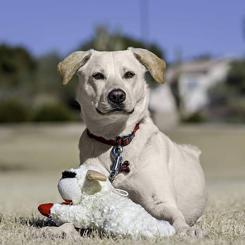 Adorable peluche de cordero, juguete interactivo para perros