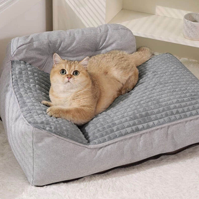 Cama para Gatos y Perros Gruesa y Lavable de Gran Tamaño para Todas las Estaciones