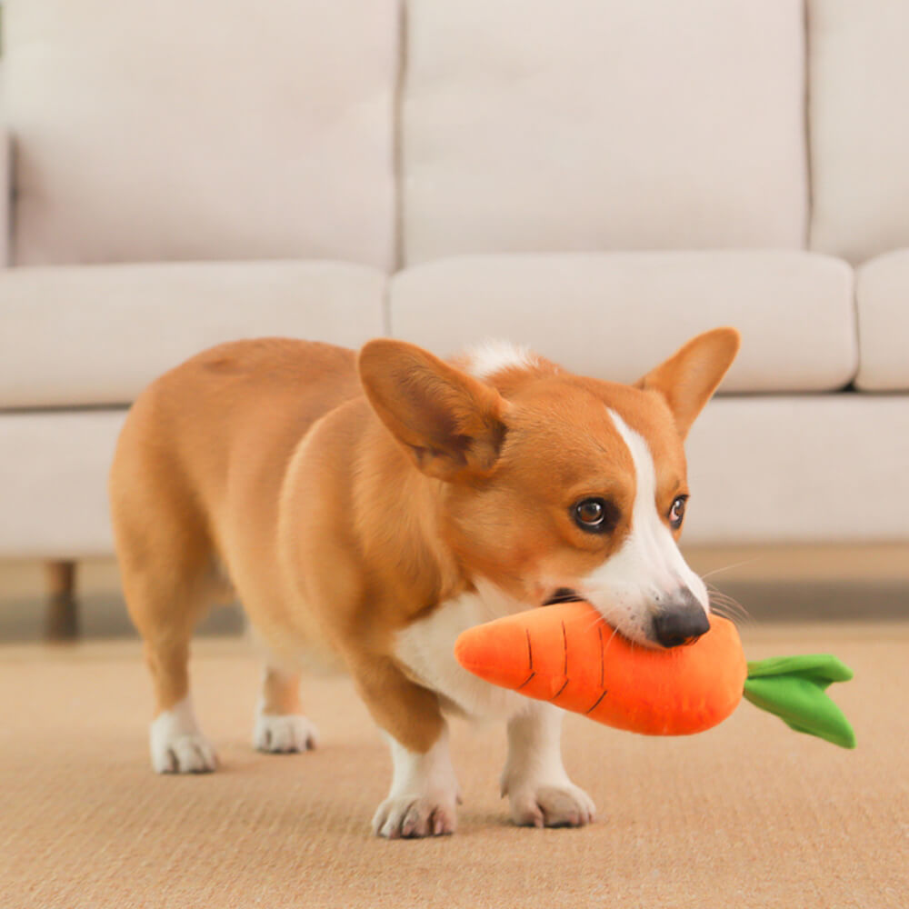 Juguete interactivo para perros de peluche chirriante con forma de zanahoria