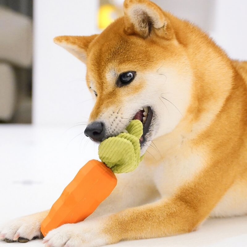 Juguete duradero para masticar para perros