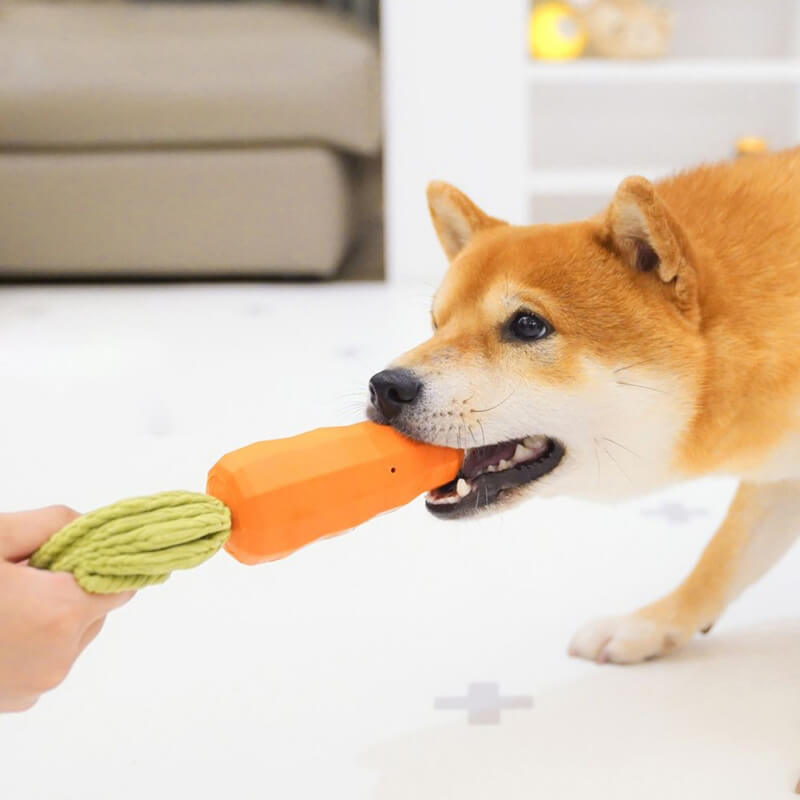 Juguete duradero para masticar para perros