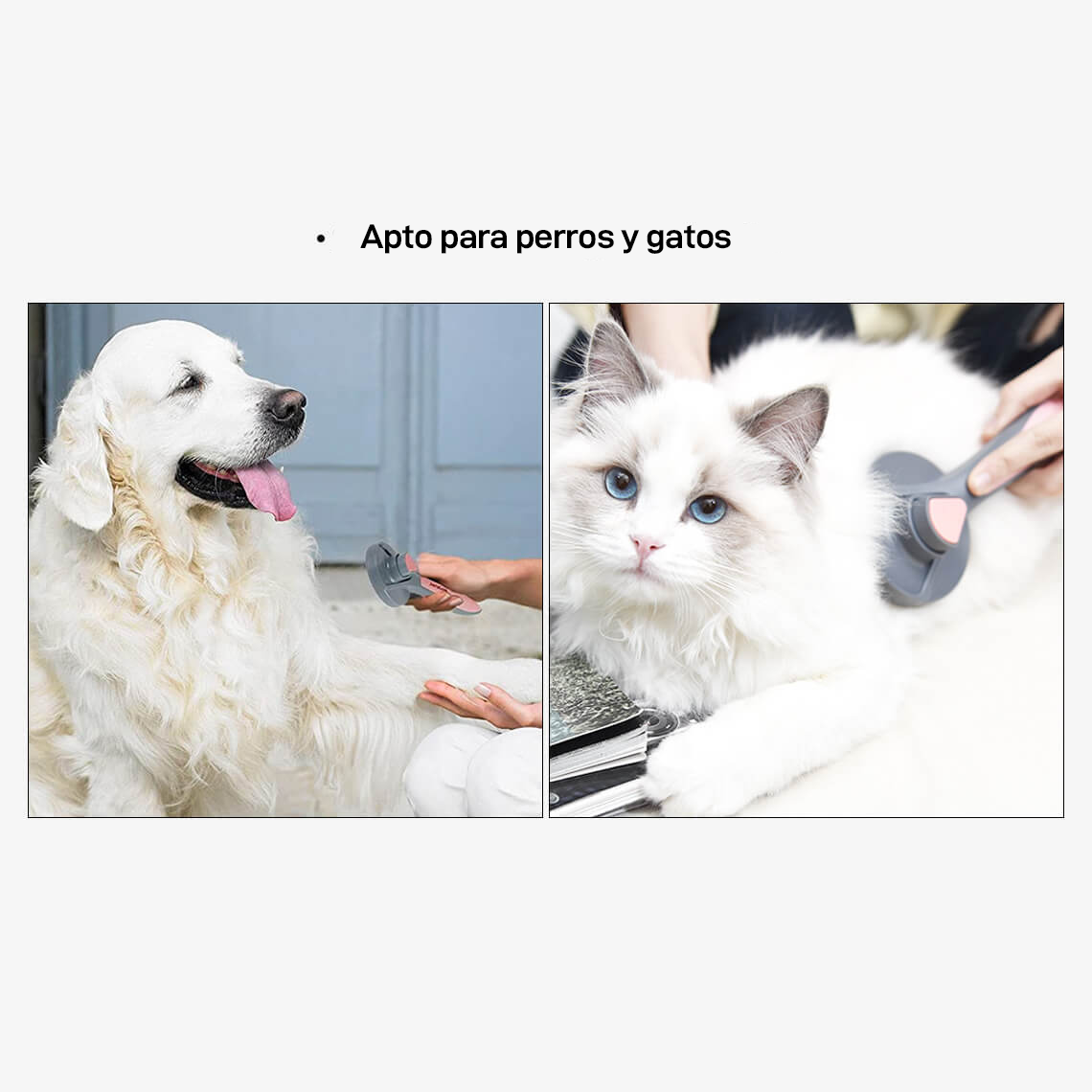 Cepillo y peine para mascotas fácil de limpiar Click