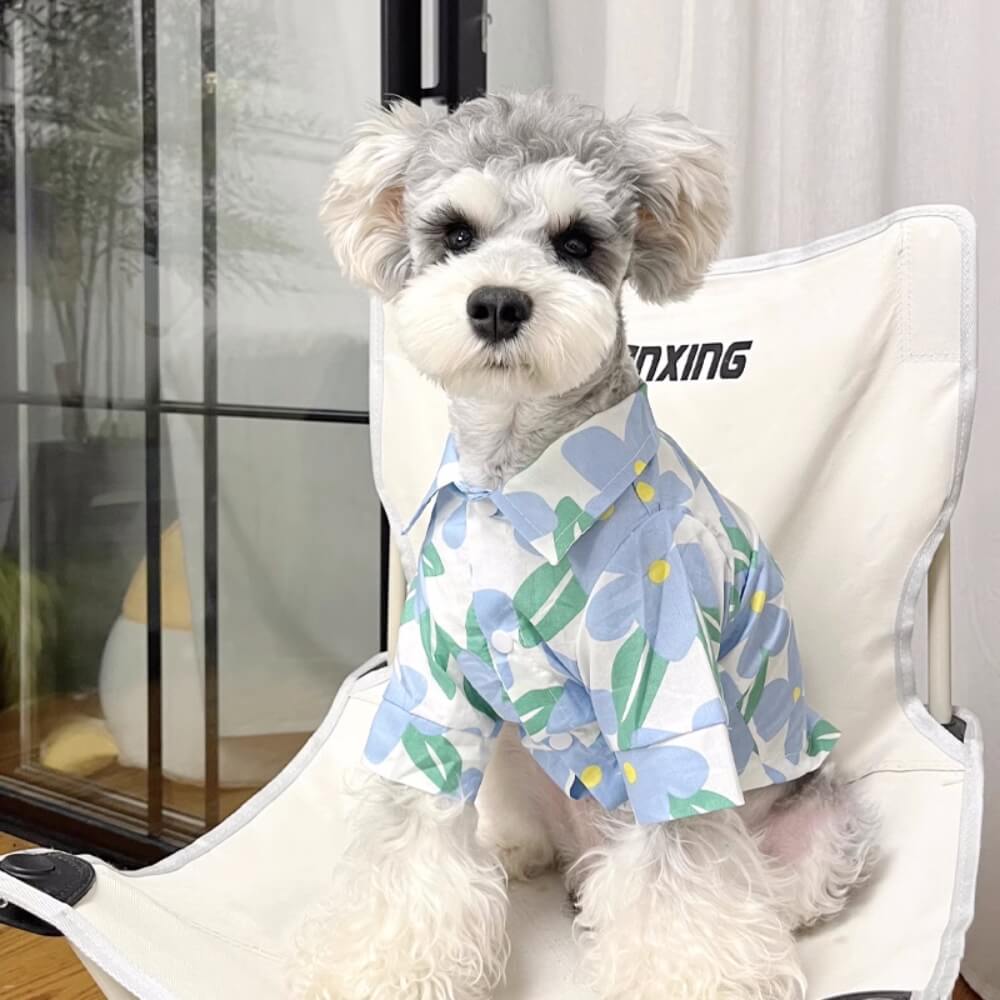 Encantadora camisa floral para mascotas y ropa a juego para el dueño