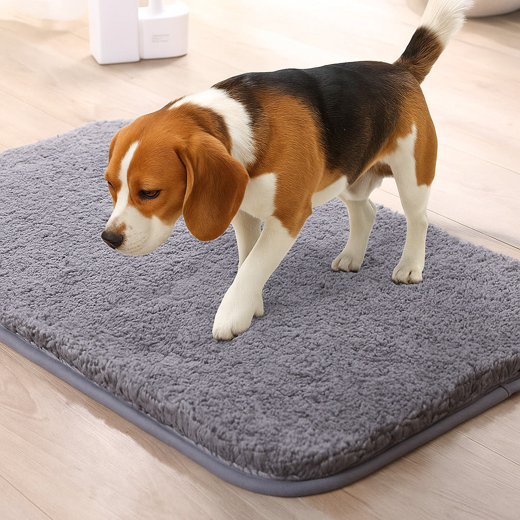 Alfombra para mascotas de felpa gruesa, absorbente y resistente al barro para patas sucias